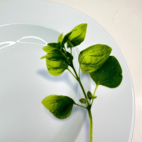 Crate & Barrel Herb Motif Porcelain Dinner Plates Set Of 2 - Picture 3 of 9